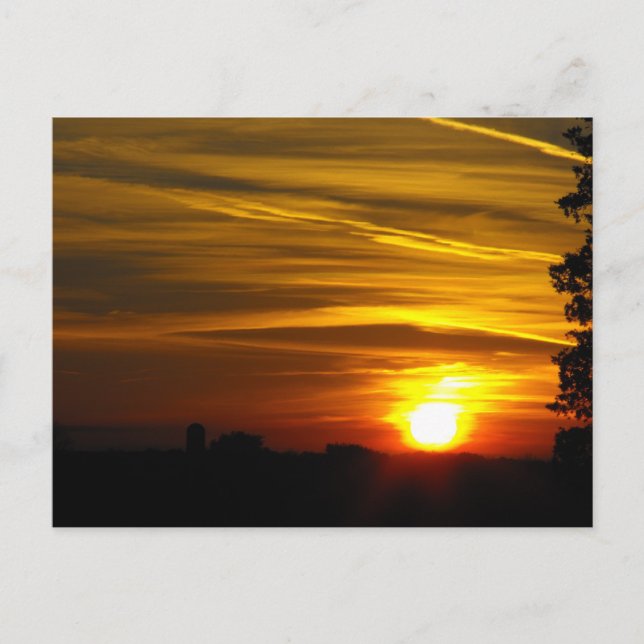 Brilliant Glow Postcard (Front)