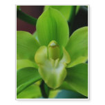 Brilliant Green Orchid Temporary Tattoos