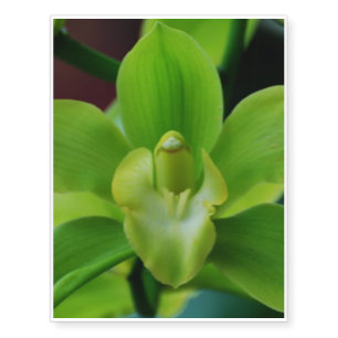 Brilliant Green Orchid Temporary Tattoos