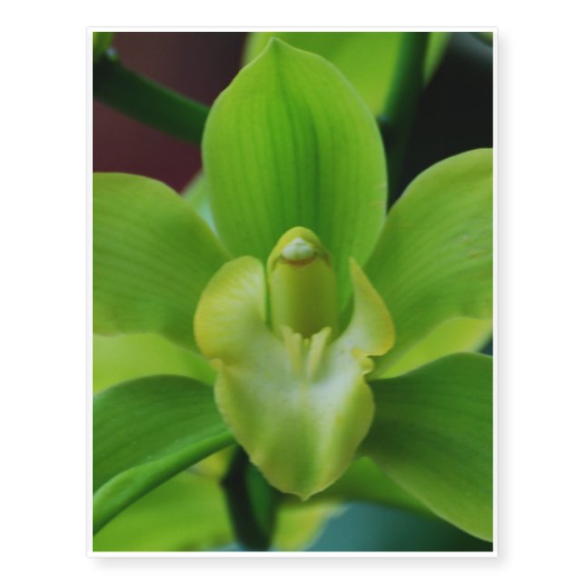 Brilliant Green Orchid Temporary Tattoos (Front)