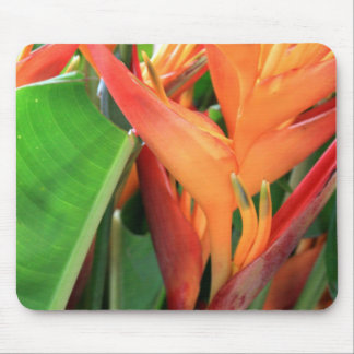 Brilliant Heliconia Tropical Flowers Mouse Pad