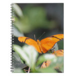 Brilliant Orange Butterfly Notebook