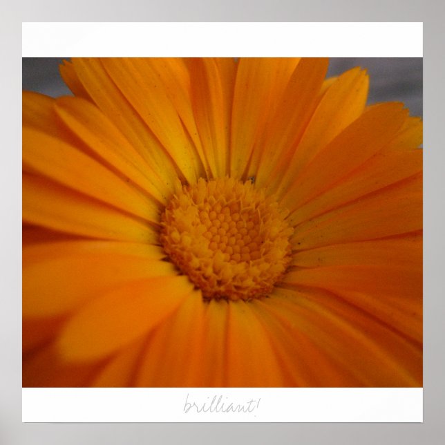 brilliant! poster (Front)