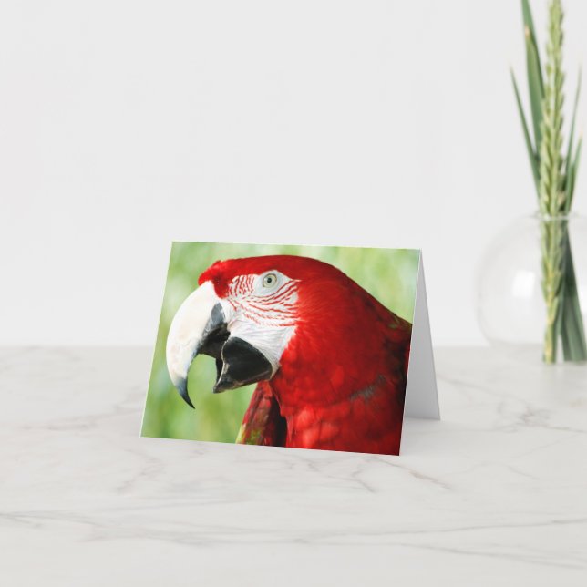 Brilliant Red Card (Front)