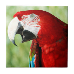 Brilliant Red Ceramic Tile