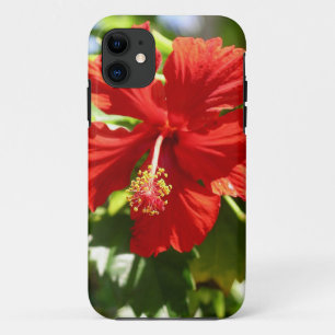 Brilliant Red Hawaiian Hibiscus Flower iPhone 11 Case