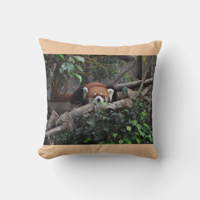 Brilliant Red Panda in a zoo Throw Pillow (Front)