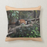 Brilliant Red Panda in a zoo Throw Pillow