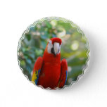 Brilliant Red Parrot Button