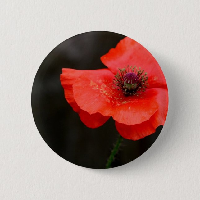 Brilliant Red Poppy Pinback Button (Front)