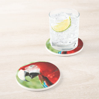 Brilliant Red Sandstone Coaster