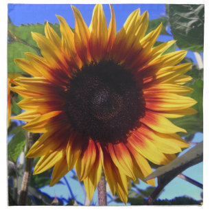 Brilliant Sunflower Dinner Napkins