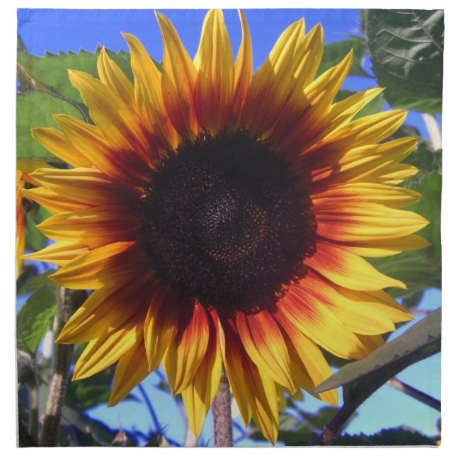 Brilliant Sunflower Dinner Napkins (Front)