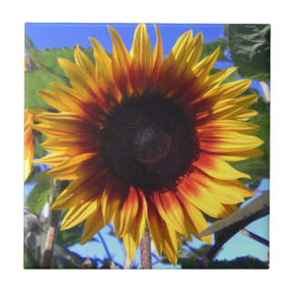 Brilliant Sunflower Tile