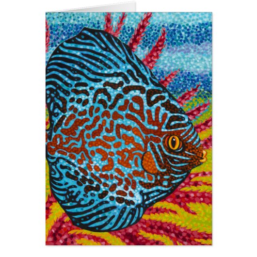 Brilliant Tropical Fish II Cards (Front)