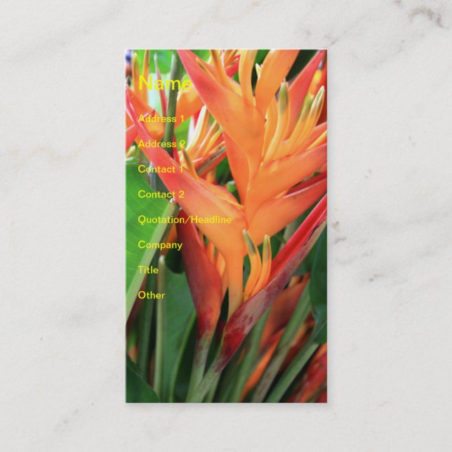 Brilliant Tropical Hawaiian Hibiscus Business Card (Front)