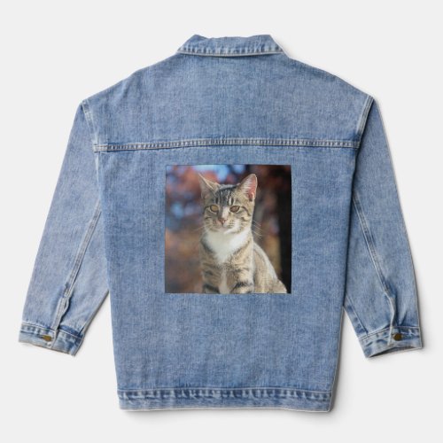 Brin Denim Jacket