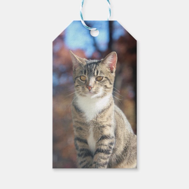 Brin Gift Tags (Front)