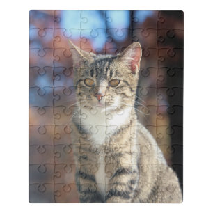 Brin Jigsaw Puzzle