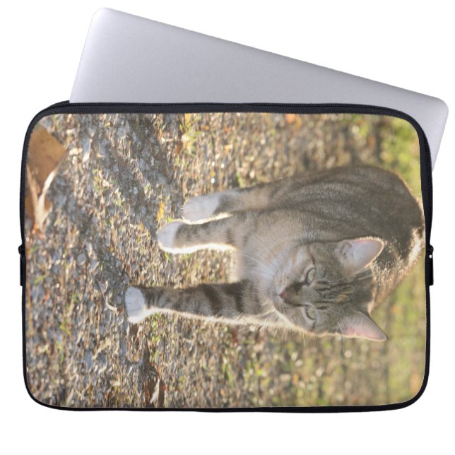 Brin  laptop sleeve (Front)