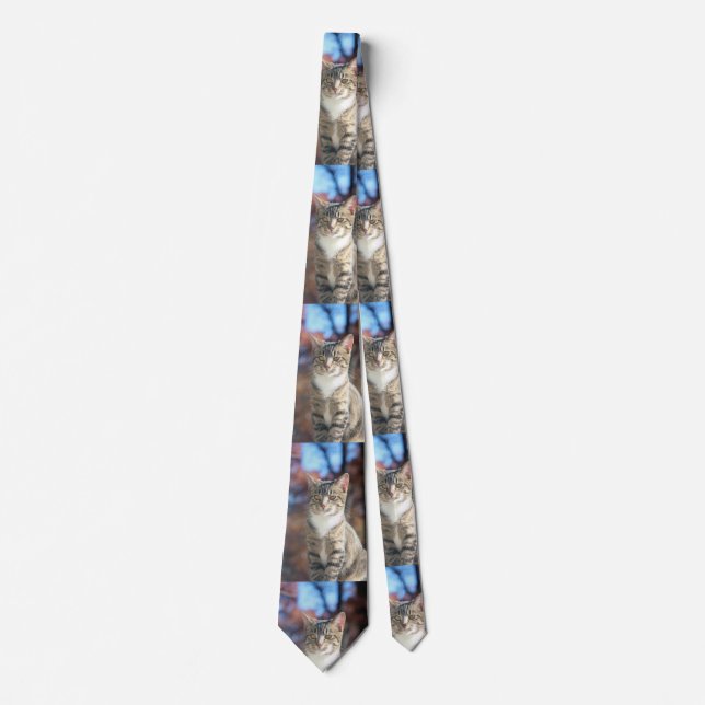 Brin Neck Tie (Front)
