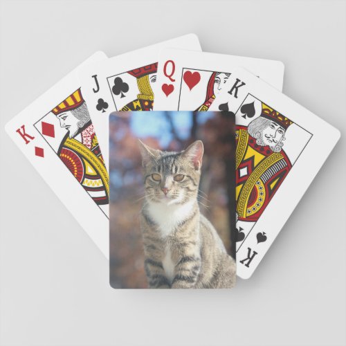 Brin Playing Cards
