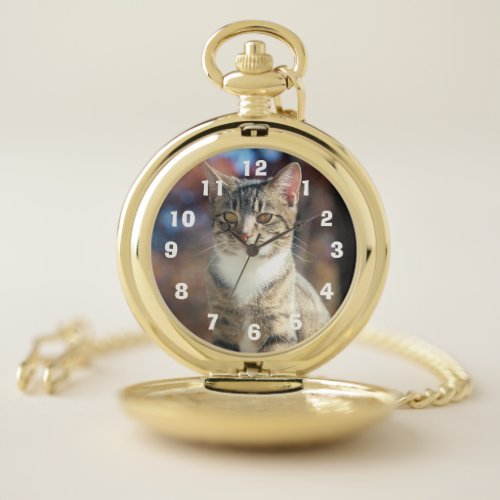 Brin Pocket Watch