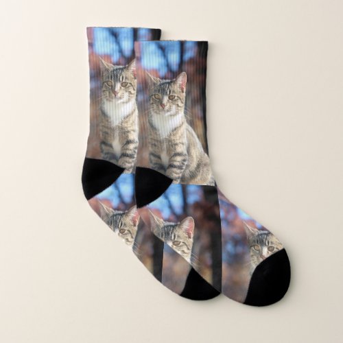 Brin Socks