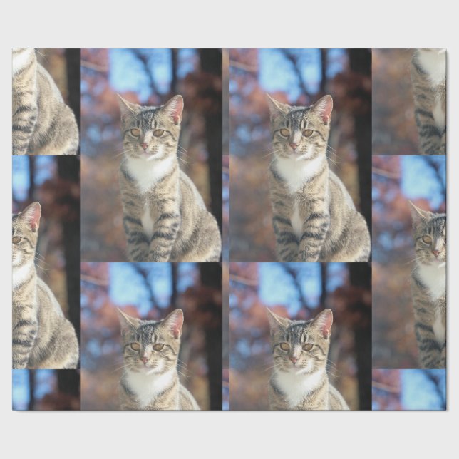 Brin Wrapping Paper (Seam)