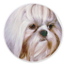 Brindle and White Shih Tzu Dog