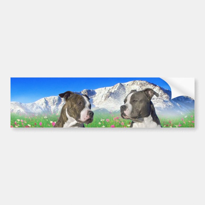 Brindle & Blue Staffordshire & Pit Bull Dogs Bumper Stickers