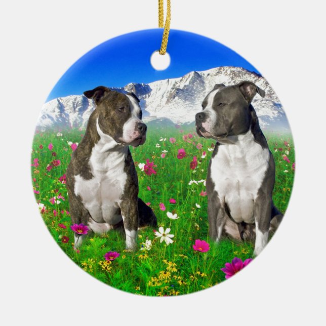 Brindle & Blue Staffordshire & Pit Bull Dogs Ceramic Ornament (Front)