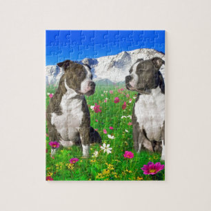 Brindle & Blue Staffordshire & Pit Bull Dogs Jigsaw Puzzle