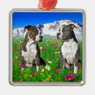 Brindle & Blue Staffordshire & Pit Bull Dogs Metal Ornament