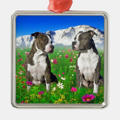 Brindle  Blue Staffordshire  Pit Bull Dogs Metal Ornament