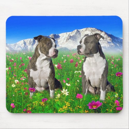 Brindle  Blue Staffordshire  Pit Bull Dogs Mouse Pad