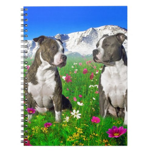 Brindle  Blue Staffordshire  Pit Bull Dogs Notebook