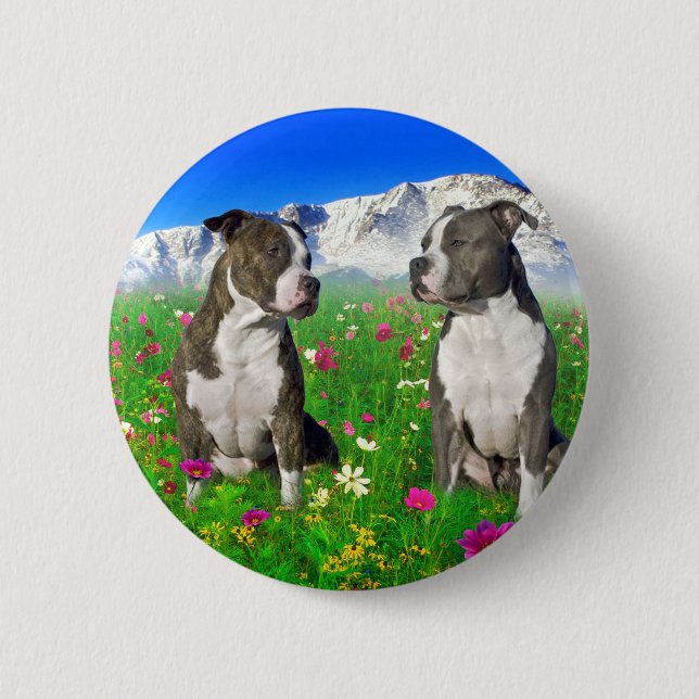 Brindle & Blue Staffordshire & Pit Bull Dogs Pinback Button (Front)
