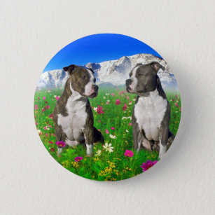 Brindle & Blue Staffordshire & Pit Bull Dogs Pinback Button