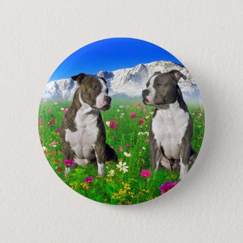 Brindle  Blue Staffordshire  Pit Bull Dogs Pinback Button