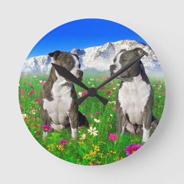 Brindle & Blue Staffordshire & Pit Bull Dogs Round Clock (Front)