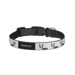 Brindle Boston Terrier Cartoon Dogs &amp; Custom Text Pet Collar