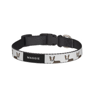 Brindle Boston Terrier Cartoon Dogs & Custom Text Pet Collar