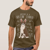 Brindle Boston Terrier Dog Anatomy
