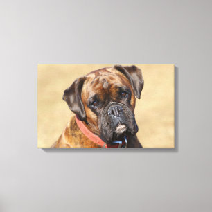 Brindle Boxer Dog Canvas Print