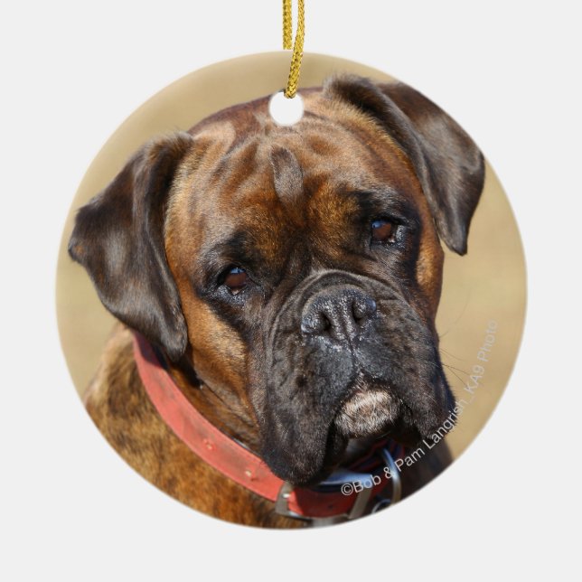 Brindle Boxer Dog Ceramic Ornament (Front)