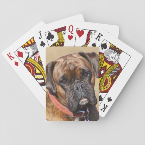 Brindle Boxer Dog Poker Cards