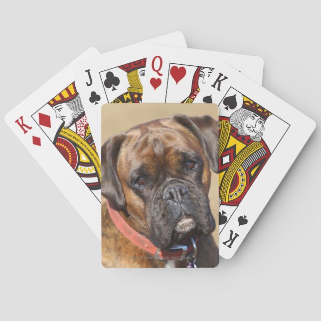 Brindle Boxer Dog Poker Cards (Back)