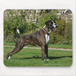 Brindle Boxer Dog Show Stance Mouse Pad