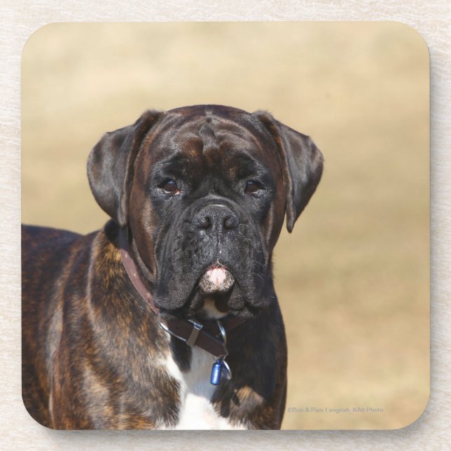 Brindle Boxer Dog Standing Beverage Coaster (Front)